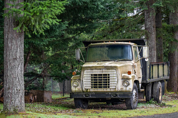 Old covered with green moss small rig semi tipper truck with dump trailer stands eternally laid up...