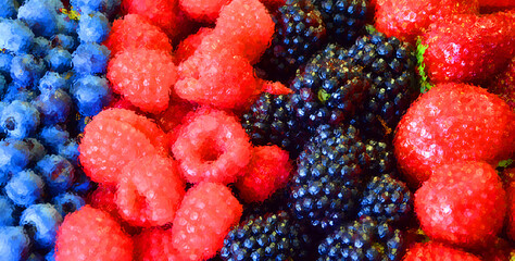 Assortment of little blueberry and blackberry in farmer market
