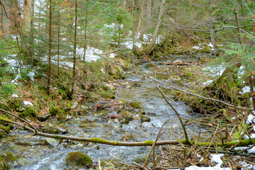 Small river in Strazyska valley in Winter. Tatra mountains in Poland, Europe