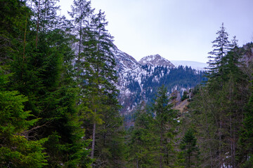 Tatra mountains. Winter view of the High Tatra Mountains. mountain winter landscape. Strazyska valley in summer. Tatra mountains in Poland, Europe