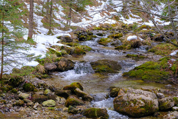 Small river in Strazyska valley in summer. Tatra mountains in Poland, Europe