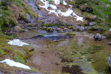 Small river in Strazyska valley in summer. Tatra mountains in Poland, Europe