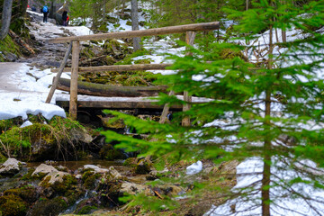 Wooden bridge over the wild mountain river in coniferous forest in Tatra Mountains. Strazyska...