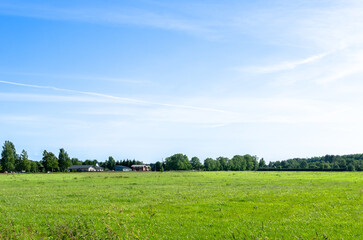 Rural landscape and farm buildings against a forest background in summer. 