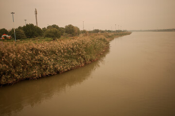 landscape photo of big river with bridge and seagulls on the side