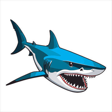 blue shark fish vector illustration