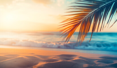 Palm tree branches form a shady retreat on the sandy shores of the tropical island during summer.
