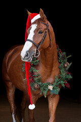 Horse with Garland