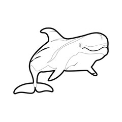 Illustration Vector Graphic of Dolphin icon design