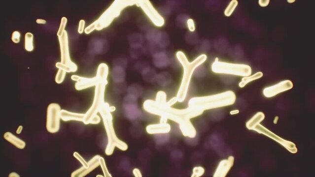 Viewing the navirus under a digital microscope