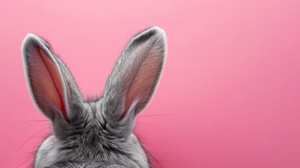 Fotobehang easter bunny rabbit ears isolated on plain minimalist pink background with copy space © Sophie