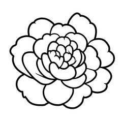 Hand drawn simple flower illustration