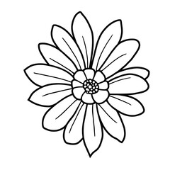 Hand drawn simple flower illustration