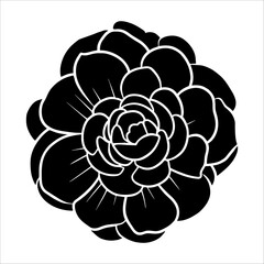 Hand drawn simple flower illustration