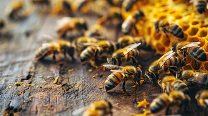 Cute swarm of bees working at bee honeycomb; background with empty space for text