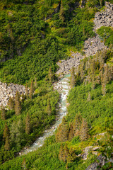 Fototapeta na wymiar Aerial view of the river flowing in the White Pass and Yukon Route gorge between Skagway, Alaska and the Canadian border