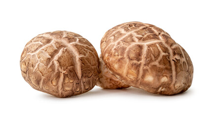 Fresh and dry shiitake mushrooms in stack or pile isolated on white background with clipping path...