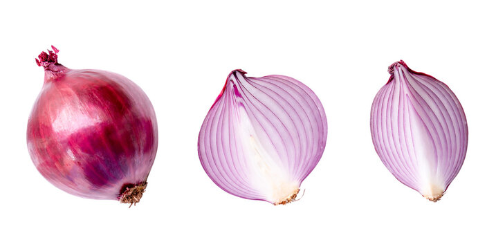 Top view of red or purple onion bulb with half and slice in set isolated on white background with clipping path