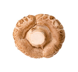 Top view of shiitake mushrooms isolated on white background with clipping path in png file format