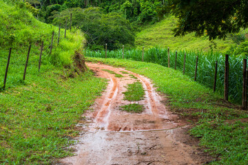 Fototapeta na wymiar View of the dirt road in the countryside