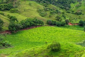 Fototapeta na wymiar Partial view of the rural area of Santa Maria