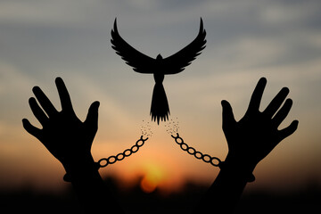 Freedom concept. The shadow of a pigeon is released from the chains that bind human arms. golden sun background in the morning - obrazy, fototapety, plakaty