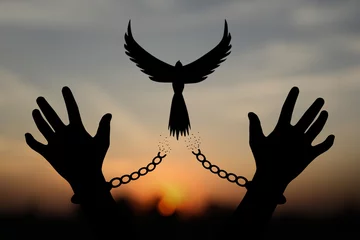 Foto op Plexiglas Freedom concept. The shadow of a pigeon is released from the chains that bind human arms. golden sun background in the morning © buraratn