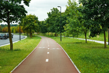 Fototapeta na wymiar View of city park with bicycle lane and trees