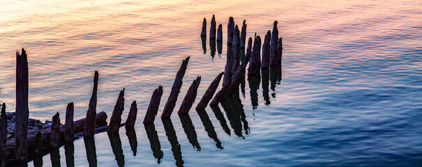 Wooden poles sticking out of water, Panorama Background. Sunset