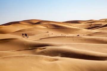 Camel caravan in the Sahara Desert, Merzouga, Morocco.