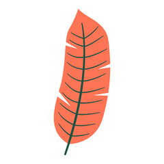 Tropical floral illustration. Colorful flat vector illustration with tropical and floral theme.