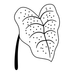 Tropical floral line art. Design element with tropical and floral theme.