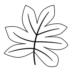 Tropical floral line art. Design element with tropical and floral theme.