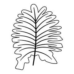 Tropical floral line art. Design element with tropical and floral theme.