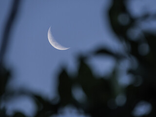 Luna creciente