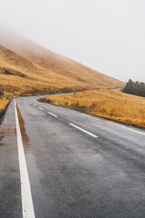 大分　別府　温泉旅行の写真