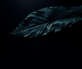 A detailed digital art piece features a dark leaf against a black background.