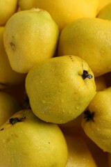 Delicious ripe quinces with water drops as background, closeup