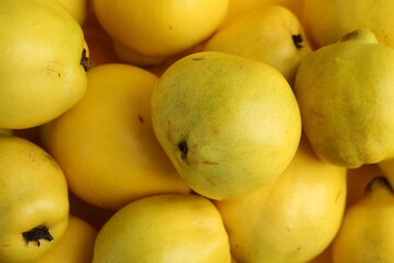 Delicious ripe quinces as background, closeup view