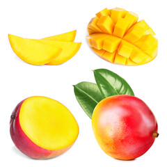 Whole and cut mango fruits isolated on white