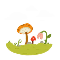 mushrooms in the grass
