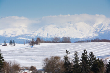 冬の晴れた日の融雪剤がまかれた畑と雪山　十勝岳連峰
