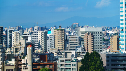 Fototapeta na wymiar Building and skyscrapers in Tokyo, Japan