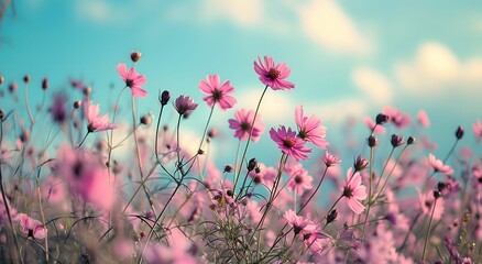 Sunlit Symphony - A Field of Pink Flowers Amidst a Blue Sky in Light Yellow and Light Cyan Tones