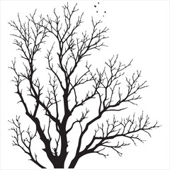 vector black silhouette of a bare tree, Naked Tree vector silhouette, isolated white background