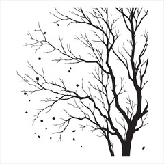 Obraz premium vector black silhouette of a bare tree, Naked Tree vector silhouette, isolated white background