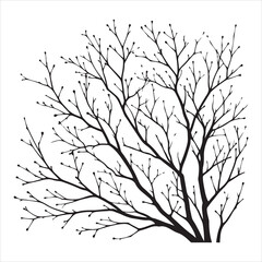 vector black silhouette of a bare tree, Naked Tree vector silhouette, isolated white background