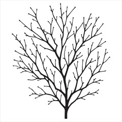 Fototapeta premium a naked tree branches vector silhouette black color illustration