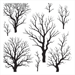 Obraz premium a naked tree branches vector silhouette black color illustration