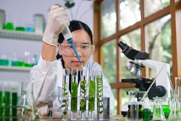 Young Scientist woman, laboratory and test tube with plants, research and analysis of leaves for...